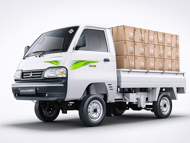 Maruti Super Carry Car service and Repair